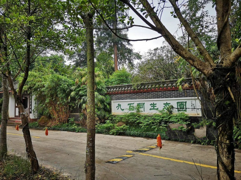 乐山市九百洞生态养老院-晨曦养老