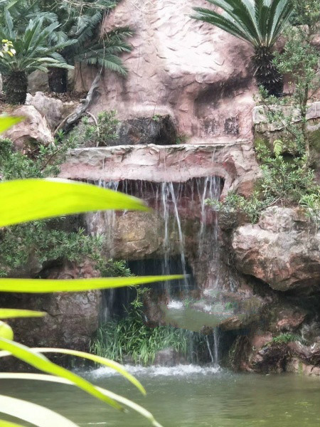 乐山市九百洞生态养老院-晨曦养老