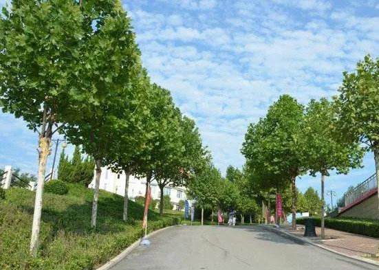安阳市龙安区中奥伍福安养中心-晨曦养老