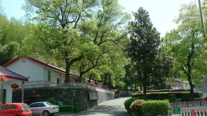 长沙鸿天康逸敬老山庄-晨曦养老
