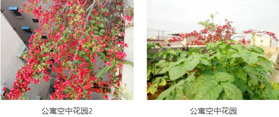 惠州市惠城区长乐居老年公寓-晨曦养老