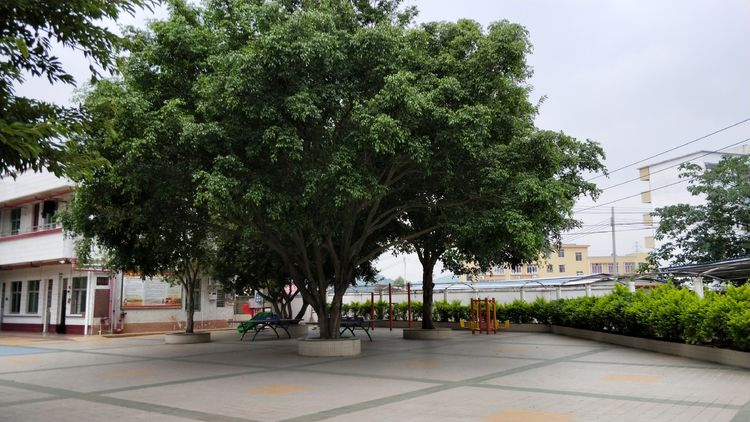 第一养老护理服务（深圳）有限公司郁南分公司/郁南县社会福利中心-晨曦养老